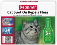 Beaphar, Cat Spot-On Repels Fleas, Plant-Based Parasite Protection, Contains Natural Herbal Extract Margosa, Up to 24 Weeks Protection, 6 Pipettes