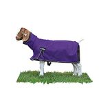 Weaver Leather Livestock ProCool Mesh Goat Blanket with Reflective Piping, Purple, Medium