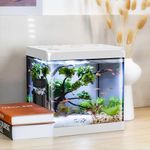 5 Gallon Glass Small Fish Tank,Bett