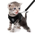 FEimaX Small Cat Dog Harness and Leash Set, No Pull Adjustable Pet Harness with Reflective Strips, Escape Proof Puppy Kitten Vest for Extra Small Dogs Cats