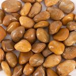 Galashield River Rocks Pebbles for Plants Natural Decorative Polished Stones for Planters Succulent Rocks Aquarium Gravel (5 lb Bag)