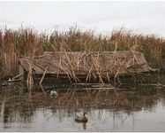 Beavertail 1700 Series Boat Blind, 