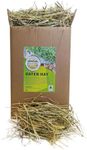 Fresh Oaten Hay 3 KG Box - Hand Pac