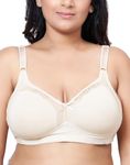 PLUMBURY Women's Lightly Padded Plus Size Everyday Bra,Beige,Size 42B