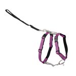 Petsafe 3 In 1 Dog Harness No Pull Solution for Dogs Reflective Dog Harness Front D-ring Clip Helps Stop Pulling Comfortable Padded Straps Top Handle Enhances Control Plum Medium