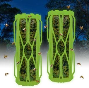 Wasp Traps