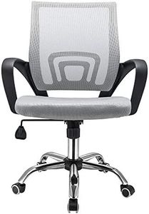 Panana Large Seat Adjustable Ergonomic Desk Chair Metal feet Swivel Office Chair Mid-Back with Lumbar Support Executive Task Chair (Grey)