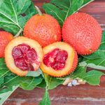 Floral Treasure Gac Fruit " Red Hybrid " Momordica cochinchinensis Fruit Seeds (2 Seeds Pack)