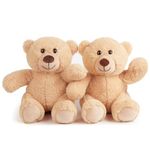 BenBen Teddy Bear Stuffed Animals, 10 inch Small Teddy Bear Bulk, 2 Pack Baby Bear Plush Toy for Baby Shower Decoration, Gift for Boys Girls, Girlfriend, Birthday