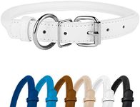 CollarDirect Rolled Leather Dog Collar, Soft Padded Round Puppy Collar, Handmade Genuine Leather Collar Dog Small Large Cat Collars 6 Colors (9-11 Inch, White Textured)