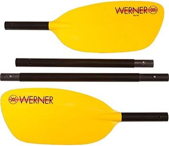 Werner Rio