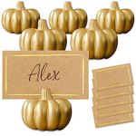 Kate Aspen 25284NA Pumpkin Place Card Holder (Set of 6), Gold