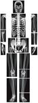 Lineshading 16 Pieces Human X Rays 