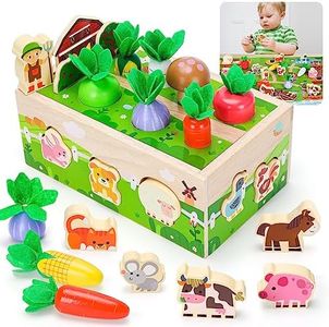 Toys for 1 2 3 Year Olds Boys Girls, Montessori Sensory Toys for 1-3 Year Olds Baby 1st Birthday Gifts for Girls Toddler Wooden Educational Learning Toys Present for 1 2 3 Year Old Girl Easter Gifts