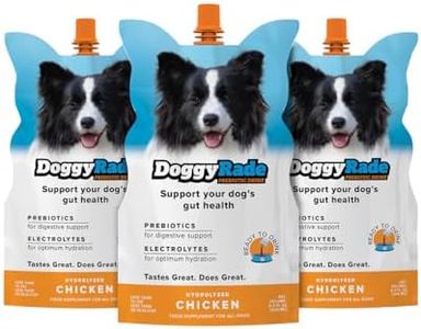 DoggyRade – Dog Sports Drink (Prebiotic, Isotonic Drink for Dogs) | Electrolytes, Nutrients & Amino Acids | Quick Hydration Drink for Dogs + Low Cal | More Than Just Water! | Chicken Flavor | 3x250ml