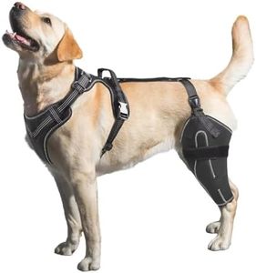 LISPOO Dog Knee Brace for Torn ACL/CCL Hind Leg,Adjustable Support with Sufficient Wrapping and Support & Luxating Patella,Non-Slip Joint Brace,Pain Relief & Better Recovery-Left Leg/XL