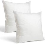 Rohi Set of 2 Hypoallergic Cushion 