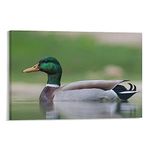 Cute Duck Wall Decor Kids Room Friendship Duck Picture Animal Art Print Posters Home Decor Artworks for Living Room (2) Painting On Canvas Wall Art Poster Scroll Picture Print Living Room Walls Decor