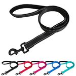 Beshine Padded Handle Dog Lead, 1.2m x 2cm Durable Reflective Nylon Dog Leash for Small, Medium Dogs, Black