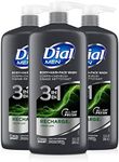 Dial Men 3in1 Body, Hair and Face W