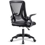 Mesh Office Chairs