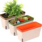 LATERN 3Pcs Self Watering Planter Pot, 27CM Rectangle Plastic Plant Pot Garden Flower Bonsai Pots for Aloe Herb Orchid Succulent Plants - with Water Level Window and Drainage Hole Hidden Tray