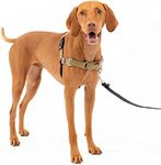 PetSafe Easy Walk No-Pull Dog Harne