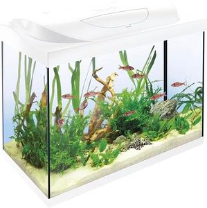 Tetra Starter Line LED 80L Acuario de Inicio Blanco, Bombilla LED con Modo luz Diurna/Nocturna