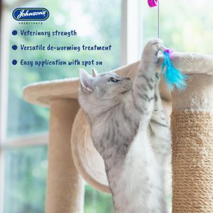 Johnsons Spot On Cat Wormer, 2-Pack – Easy Deworming Treatment