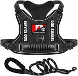 Tactical Dog Harness Set With Comfo