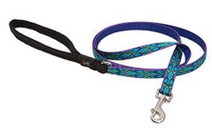 LupinePet Originals 1/2" Rain Song 4-foot Padded Handle Leash for Small Pets