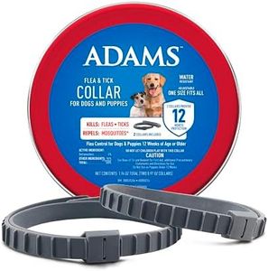 ADAMS Flea