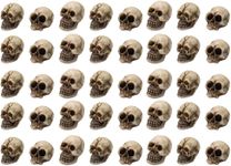 PASOLABE Mini Skull Figurine 40Pcs Halloween Miniature Skeleton Head Statue Miniature Figurine Mini Skeleton Skull Heads Halloween Skeleton Figurines for Halloween Home Decoration