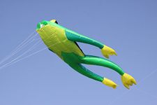 Wolkenstürmer Fritz The Frog single line kite without linkage, 1-line flying kite for beginners