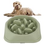 Snack Bowl For Dogs