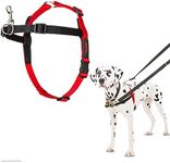 Company of Animals 42331 Halti Harness for Dogs, Medium, Black/Red