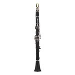 Btuty Clarinet ABS 17 Key bB Flat Soprano Binocular Clarinet with Cleaning Cloth Gloves 10 Reeds Screwdriver Reed Case Woodwind Instrument