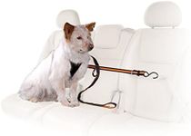 Kurgo Auto Zipline for Dogs, Adjustable Dog Safety Belt Leash, Pet Seat Belt Tether, Reduce Distracted Driving, Includes Zip Line, Leash and Carabiner Clips, 6 feet