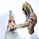 Kosher Kudu Shofar Horn from Israel 14”-16" Traditional Half Polished Kudu Shofar Includes Carrying Bag, Brush, Anti Odor Spray and Blowing Guide - Holy Easy Blowing Ancient Jewish Musical Instrument