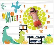 Dinosaur Baby Month Milestone Blanket for Photo Taken - Baby Age Blanket