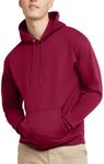 Hanes mens Pullover Ecosmart Hooded