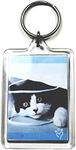 PC3721 10 Large Blank Photo Keyring