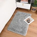 Terrug Fluffy Rugs for Living Room Bedroom, 2x3 Grey Area Rug Washable Shag Carpet, Super Soft Fuzzy Plush Non-Slip Cute Modern Kids Rug for Nursery College Dorm Classroom Kids Room Home Decor