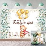 Photo Background For Baby Shower