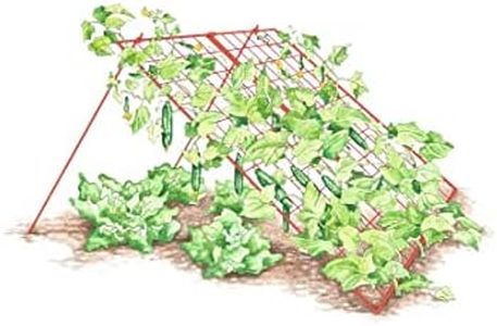 Gardeners 