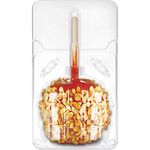 Bits N Things Clear Large Candied Apple Containers Boxes 50 Pack - Great for Standard and Large Size Apples