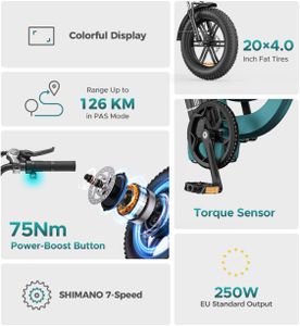 ENGWE L20 BOOST Electric Bike – Black, Powerful E-Bike