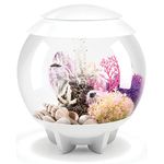 Halo 15 Aquarium with MCR Light - 4 Gallon, White