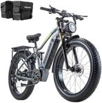 DAMSON Electric Bike for Adults 100