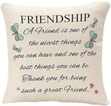 YGGQF Throw Pillows Covers A Friend is One of The Nicest Things The Best Friendship Gift to Friends Throw Pillow Cushion Case 18 x 18 Inch Square Pillowcase